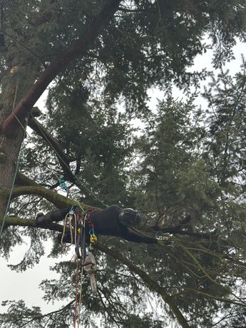Beispielarbeit von MP Baum&Garten - veröffentlicht auf Gartenbau.org