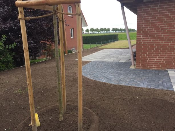 Beispielarbeit von Franke Garten- und Landschaftsbau - Bauservice - veröffentlicht auf Gartenbau.org