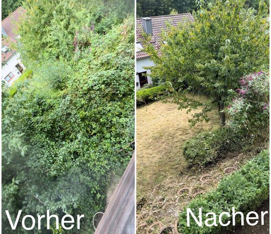 Beispielarbeit von Montage Service Jusuf Djelili - veröffentlicht auf Gartenbau.org