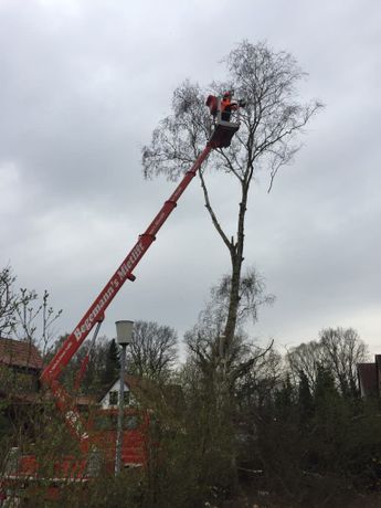 Beispielarbeit von Franke Garten- und Landschaftsbau - Bauservice - veröffentlicht auf Gartenbau.org