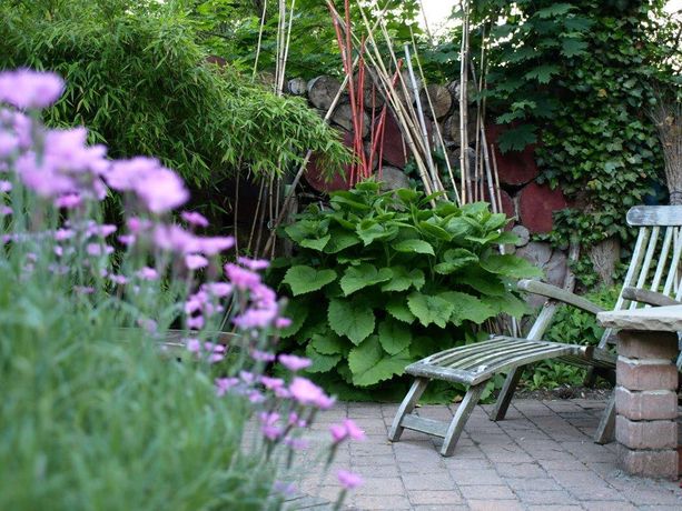 Beispielarbeit von Naturnaher Gartenbau Hagen Peter Albrecht - veröffentlicht auf Gartenbau.org