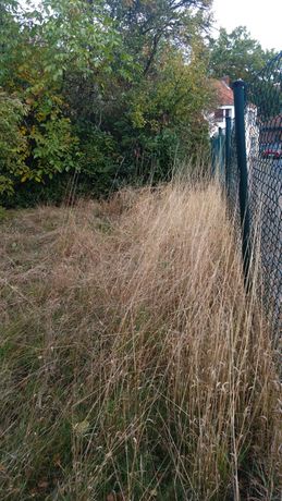 Beispielarbeit von S-O-S Dienstleistungen - veröffentlicht auf Gartenbau.org