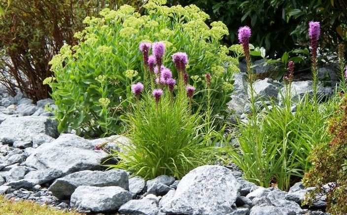Beispielarbeit von Ralf Hempel Garten- und Landschaftsbau - veröffentlicht auf Gartenbau.org