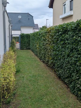 Beispielarbeit von S&K Service Schulte & Kant GbR - veröffentlicht auf Gartenbau.org