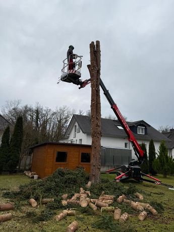 Beispielarbeit von Pala Objektmanagement GmbH - veröffentlicht auf Hausmeisterdienste.net