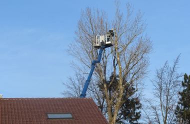 Beispielarbeit von Steiger Baumpflege Inh. Tobias Ertl e.K. - veröffentlicht auf Gartenbau.org