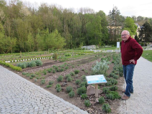 Beispielarbeit von Garten- u. Landschaftsbau Gerhard Endrich - veröffentlicht auf Gartenbau.org