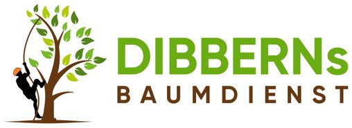 DIBBERNs Baumdienst – Ihr Baumpfleger in Hamburg in Hamburg