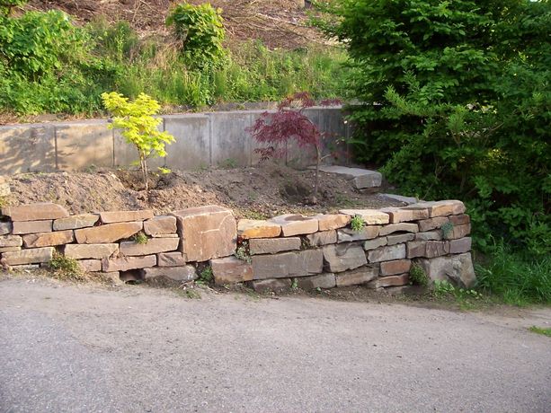 Beispielarbeit von Peter Hoffmann Gartengestaltung - veröffentlicht auf Gartenbau.org