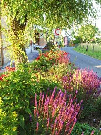 Beispielarbeit von die Spaten Garten- und Landschaftsbau Inh.: André Hilterhaus - veröffentlicht auf Gartenbau.org