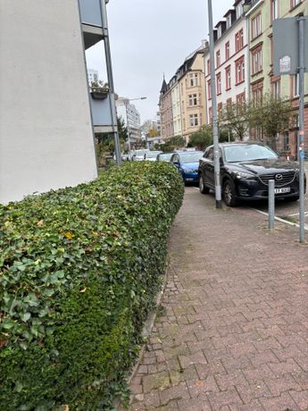 Beispielarbeit von BD&Sohn - veröffentlicht auf Gartenbau.org