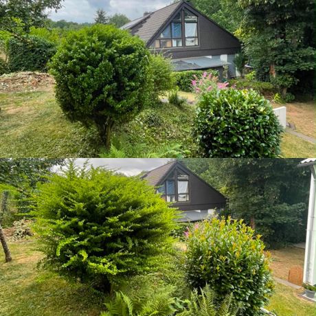 Beispielarbeit von Grünes Glück Gartenpflege - veröffentlicht auf Gartenbau.org