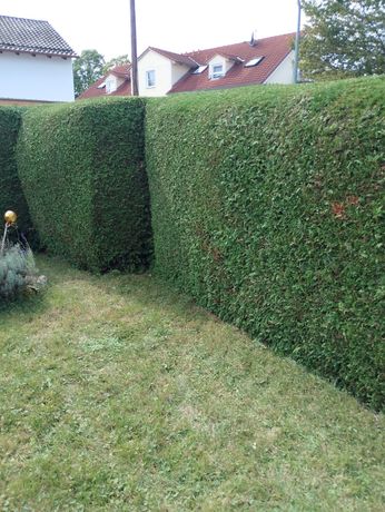 Beispielarbeit von Haus- und Gartenservice Eihoff GmbH - veröffentlicht auf Hausmeisterdienste.net