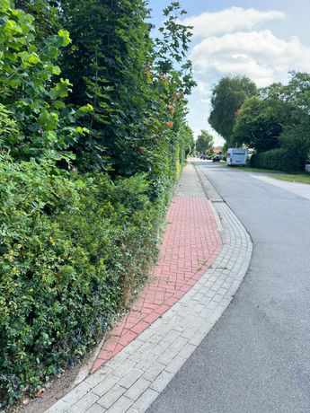 Beispielarbeit von Gartenmücke - veröffentlicht auf Gartenbau.org