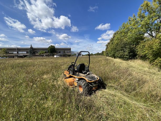Beispielarbeit von Meier - Garten & Landschaft - veröffentlicht auf Gartenbau.org