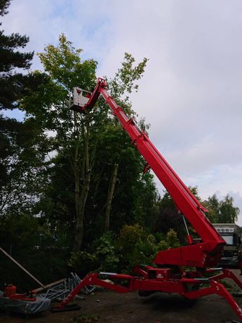 Beispielarbeit von Der Baumprofi Melhaff - veröffentlicht auf Gartenbau.org