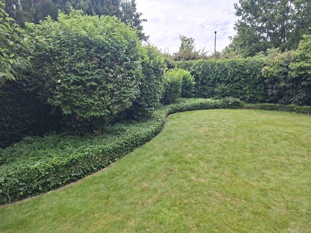 Beispielarbeit von HG - Lifestyle - veröffentlicht auf Gartenbau.org