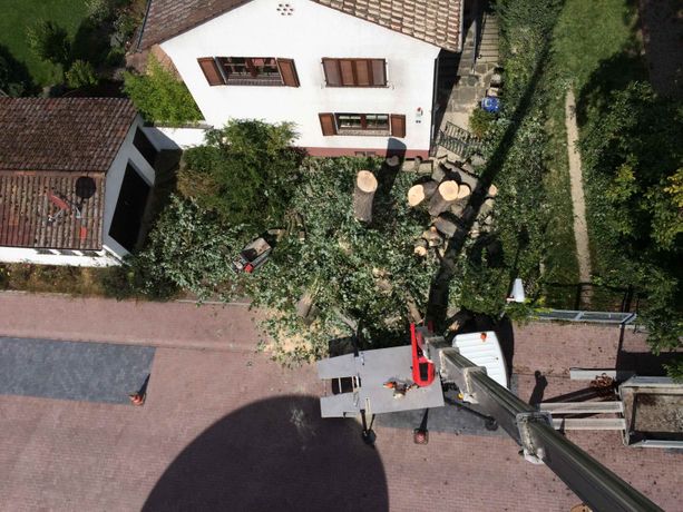 Beispielarbeit von Gaarten und Landschaftsbau Tom Daniel Gaa - veröffentlicht auf Gartenbau.org