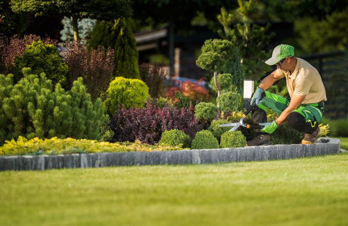 Beispielarbeit von Bioenergie Albstadt - veröffentlicht auf Gartenbau.org