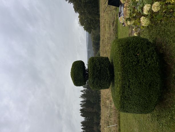 Beispielarbeit von Dienstleistungen Rund ums Haus - veröffentlicht auf Hausmeisterdienste.net