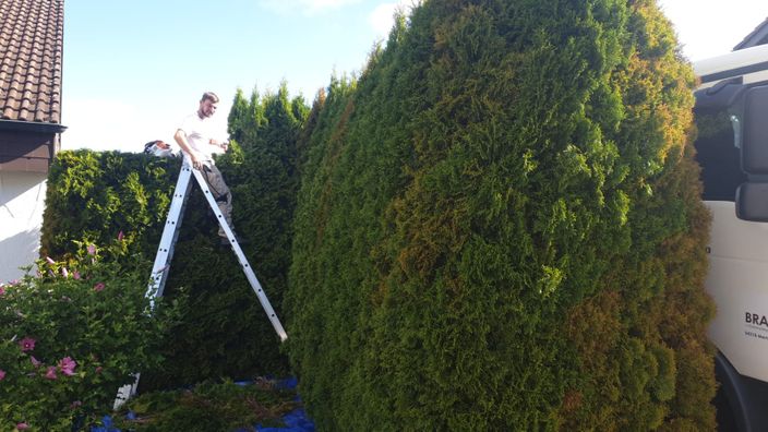 Beispielarbeit von Brandscheid Gartenpflege - veröffentlicht auf Gartenbau.org