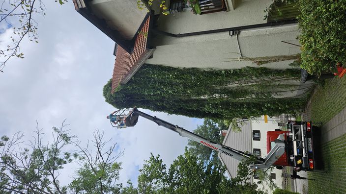 Beispielarbeit von Hausmeisterservice Sykora in München & Ebersberg - veröffentlicht auf Hausmeisterdienste.net