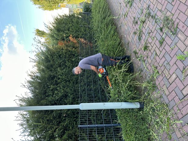 Beispielarbeit von Edgar Khachaturov Hausmeisterdienste - veröffentlicht auf Gartenbau.org