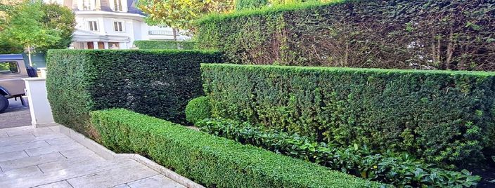 Beispielarbeit von MSM Garten und Landschaft GbR - veröffentlicht auf Gartenbau.org