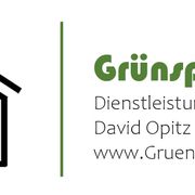 David Opitz Grünspecht in Döbra
