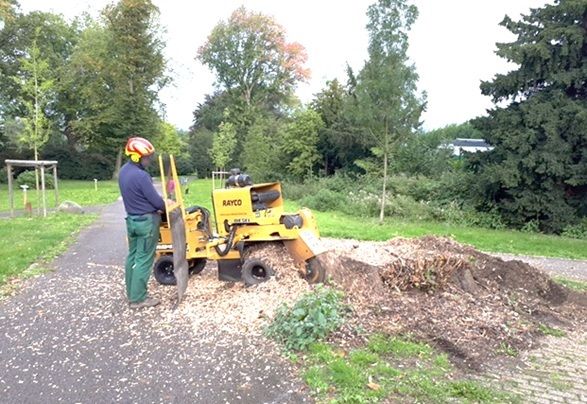 Beispielarbeit von Galabau/ Baumdienst, M. Breithaupt-Heynen - veröffentlicht auf Gartenbau.org