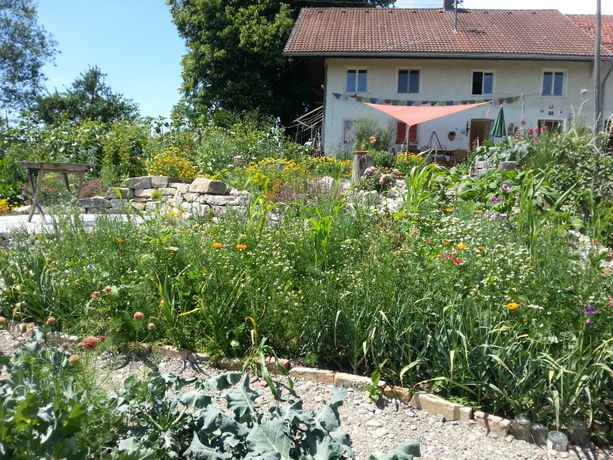 Beispielarbeit von Naturraum Gestaltung - veröffentlicht auf Gartenbau.org