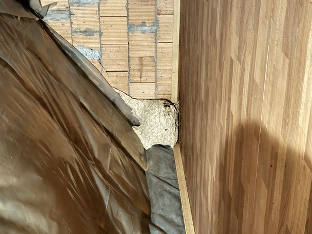 Beispielarbeit von Schädlingsbekämpfung Direkt - veröffentlicht auf Schaedlingsvernichtung.de