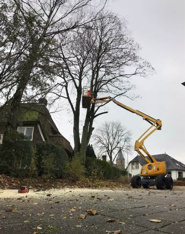 Beispielarbeit von Snekkerbjorn - Lifewood - veröffentlicht auf Gartenbau.org