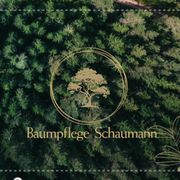 Baumpflege Schaumann in München