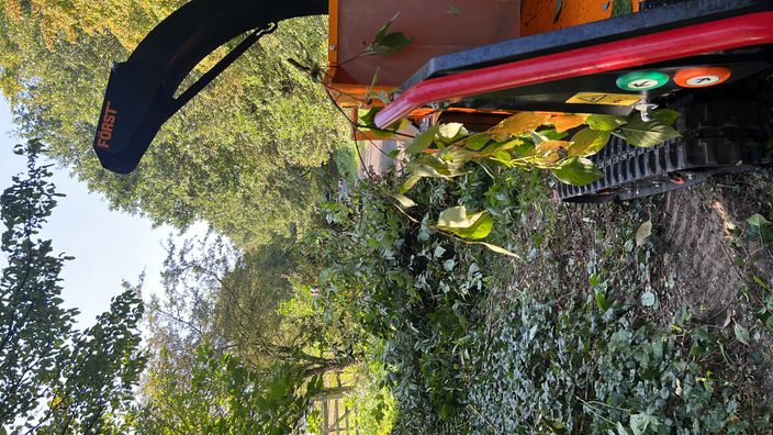 Beispielarbeit von DK-Garten- und Landschaftsbau - veröffentlicht auf Gartenbau.org