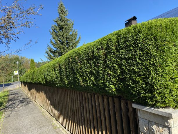 Beispielarbeit von Adlan Garten und Landschaftsbau & Gebäudereinigung - veröffentlicht auf Gartenbau.org