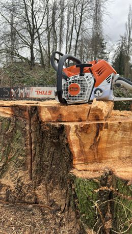 Beispielarbeit von DBO-Dietmar Bock ObjektServive - veröffentlicht auf Gartenbau.org