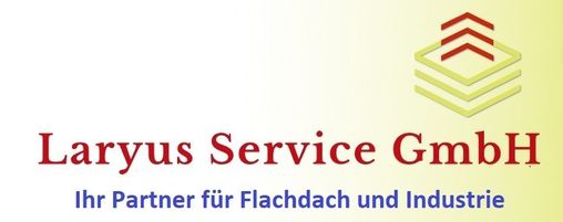 Laryus Service GmbH in Kahl am Main