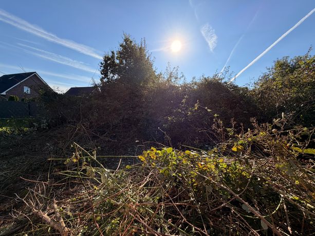 Beispielarbeit von Blitzhelfer Dienstleistungen - veröffentlicht auf Gartenbau.org