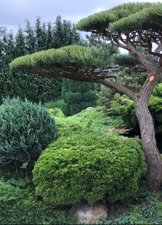 Beispielarbeit von Gartenbau Goschin GmbH - veröffentlicht auf Gartenbau.org