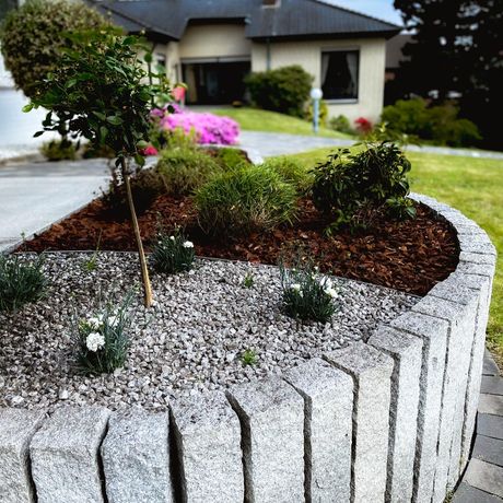 Beispielarbeit von Lukas Glockzin Baumpflege - veröffentlicht auf Gartenbau.org