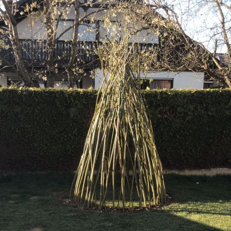 Beispielarbeit von Bamdeife Christoph Gilgen-Kunzlmann - veröffentlicht auf Gartenbau.org