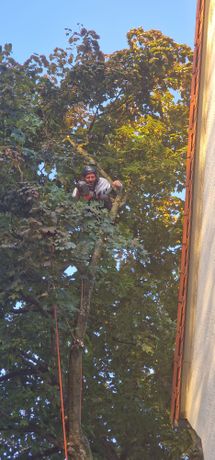 Beispielarbeit von Marcel Koop Gartenpflege UG - veröffentlicht auf Gartenbau.org
