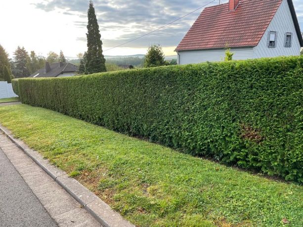 Beispielarbeit von Wolfanger Landschaftspflege GmbH - veröffentlicht auf Gartenbau.org