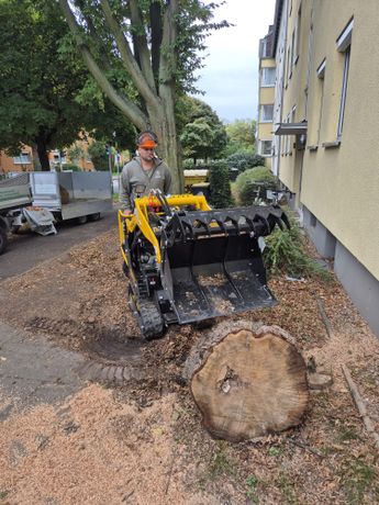 Beispielarbeit von Marcel Koop Gartenpflege UG - veröffentlicht auf Gartenbau.org