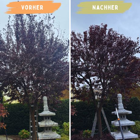 Beispielarbeit von Sana Gartenkunst - veröffentlicht auf Gartenbau.org