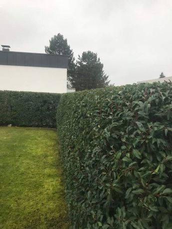 Beispielarbeit von Burhan Kllokoqi Garten- und Landschaftsbau - veröffentlicht auf Gartenbau.org