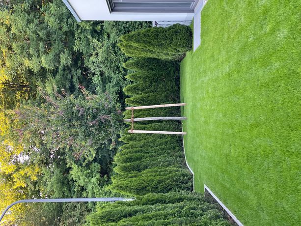Beispielarbeit von Dominik Fichtl Garten- & Landschaftsbau - veröffentlicht auf Gartenbau.org