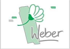 Logo der Firma Franz-Dirk Weber Garten- und Landschaftsbau aus Sinzig auf dem Branchenportal Gartenbau.org