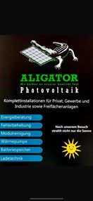 Aligator Photovoltaik in Durbach